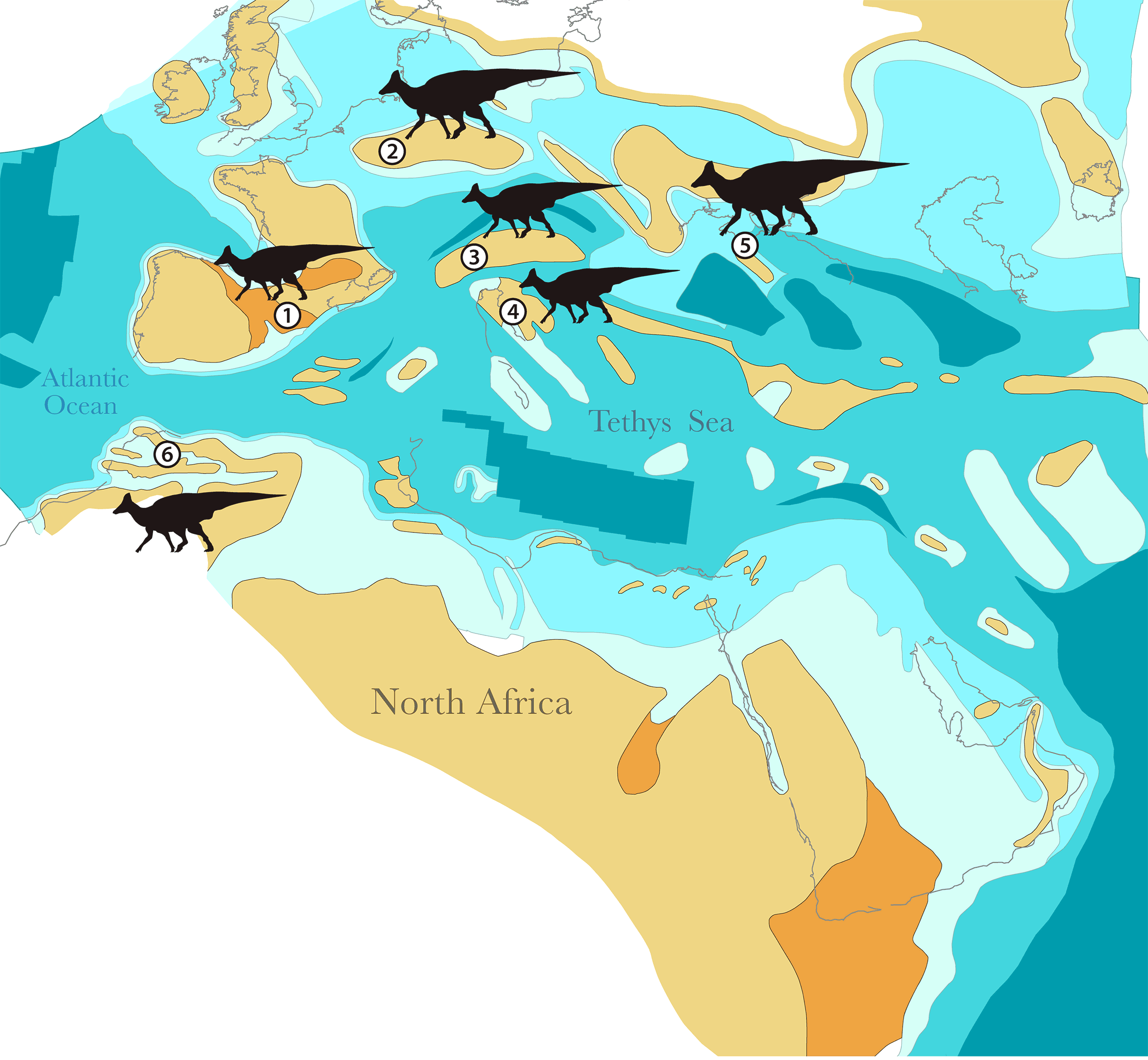 Map Of Late Cretaceous Land Masses 