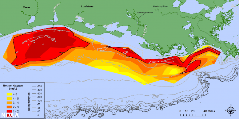 Map of Measured Gulf Hypoxia Zone