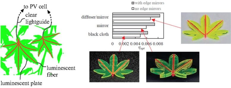 Maple Leaf Shaped Luminescent Solar Concentrator