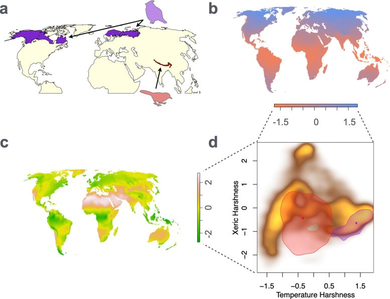 Mapping Geographic Ranges of Birds Onto Climate Space