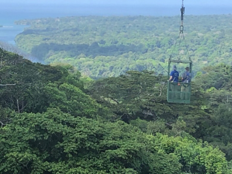 Marco Visser and Joe Wright in a Canopy Crane
