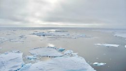 Marginal Ice Zone of the Arctic Ocean