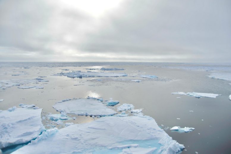 Marginal Ice Zone of the Arctic Ocean