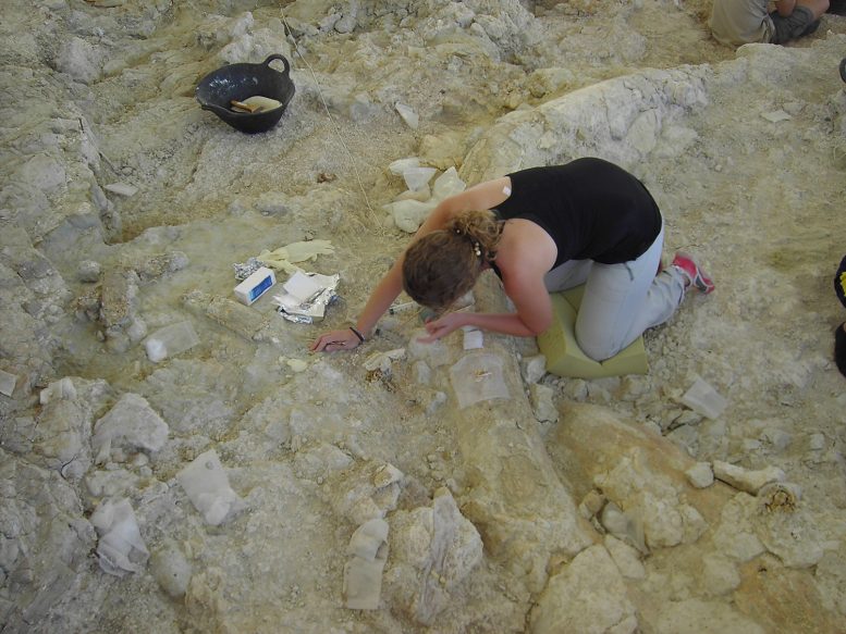 Excavations by Maria Patrocinio Espigares