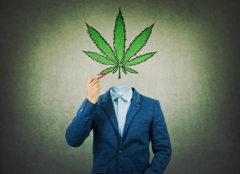 Marijuana Head Cannabis Addiction Concept