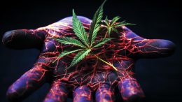 Marijuana Illness Concept