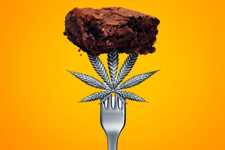 Marijuana Leaf Fork Eating Edible Cannabis Brownies
