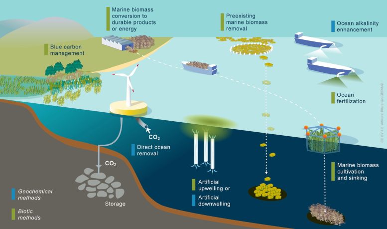 Marine Carbon Dioxide Removal (mCDR) Methods Schematic Overview