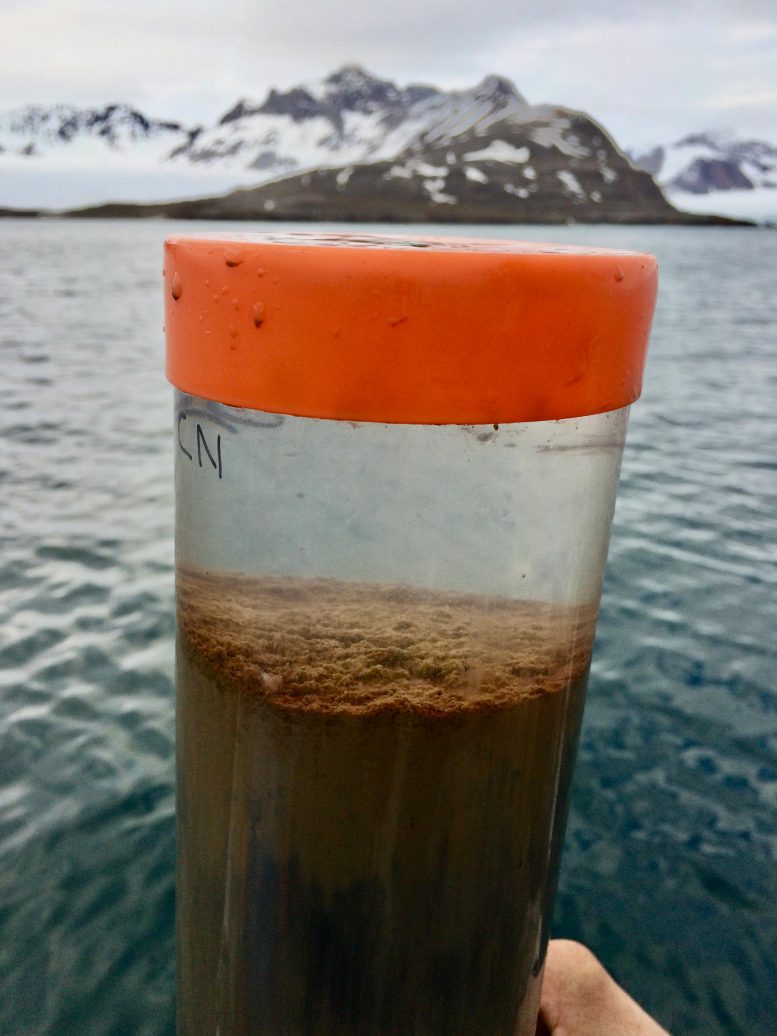 Marine Sediment Habitat of MISO Bacteria, Svalbard