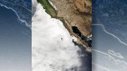 Marine Stratocumulus Clouds Along the California and Baja California Coastlines