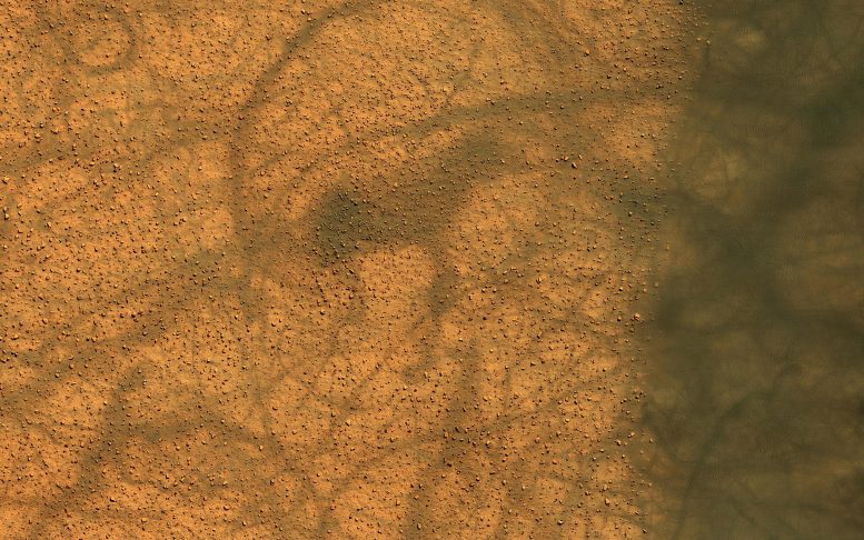 Mars Dust Devil Dance