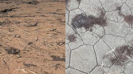 Mars Mud Crack Patterns