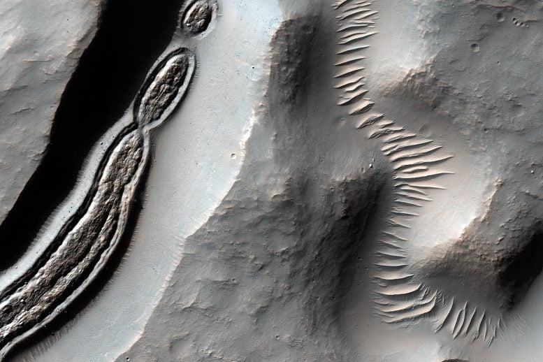 Mars Reconnaissance Orbiter Close-up of a Trough
