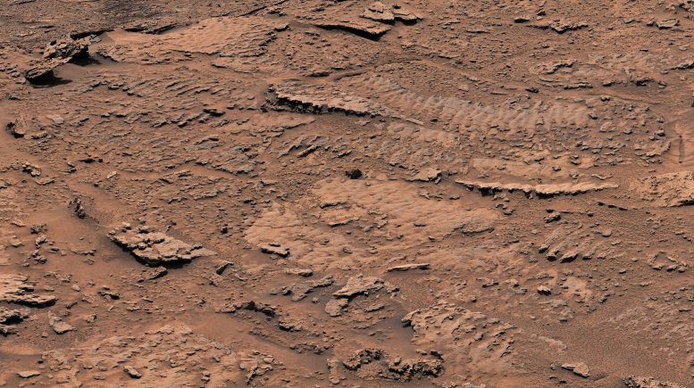 Mars Rippled Rock Textures