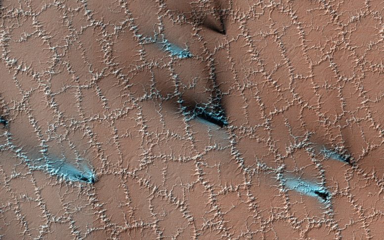Mars Spring Fans and Polygons