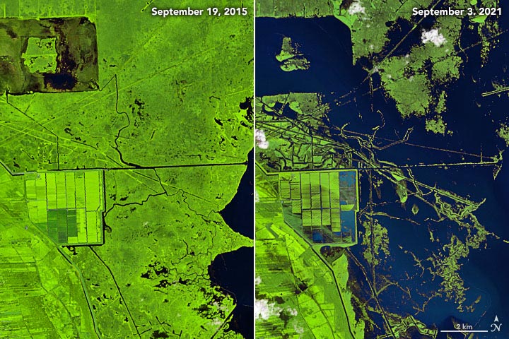 Marshes Before and After Hurricane Ida