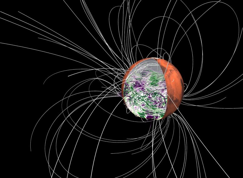 Martian Hemispheric Magnetic Field Simulation