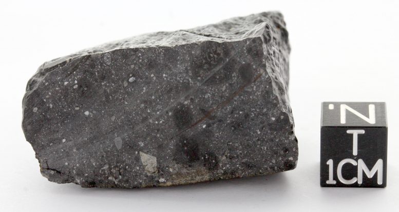 Martian Meteorite NWA 7533