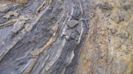 Mass Extinction Happened in Geological 'Instant'