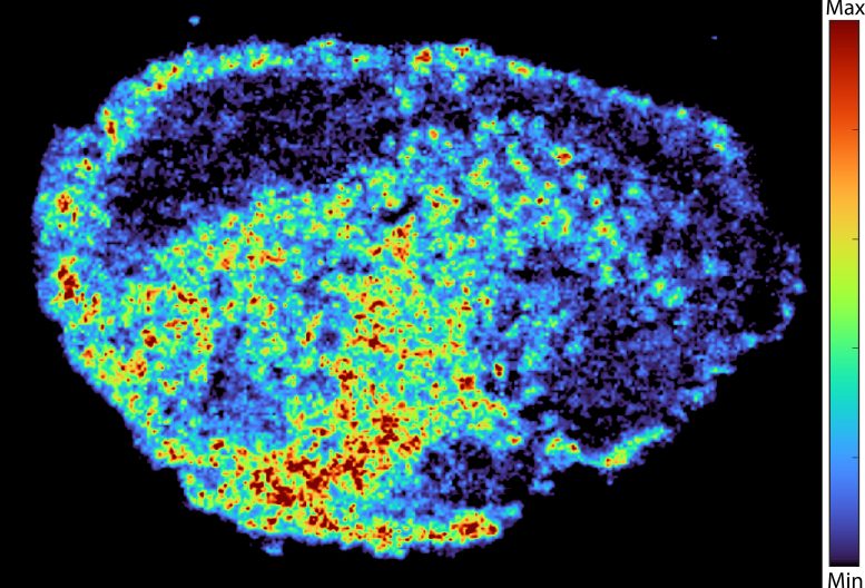 Mass Spectrometry Imaging of PARP Inhibitor