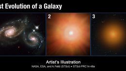Massive Compact Galaxies with High-Velocity Outflows