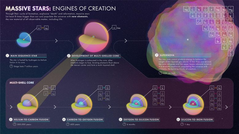 Massive Stars: Engines of Creation Infographic
