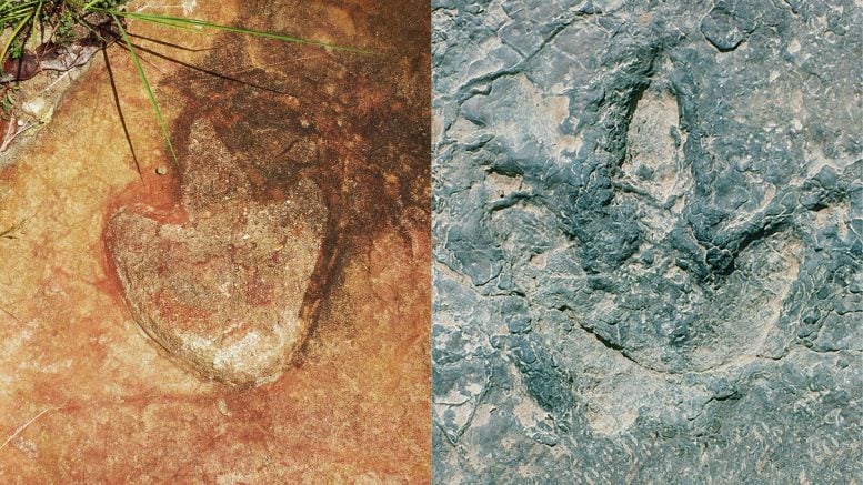 Matching Dinosaur Footprints Attach Historic Continents Around the Atlantic