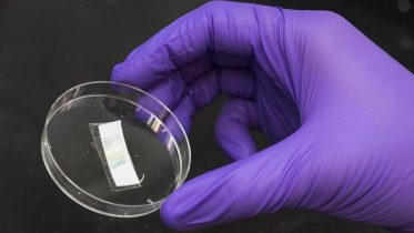 Materials Being Studied in the Korley Lab