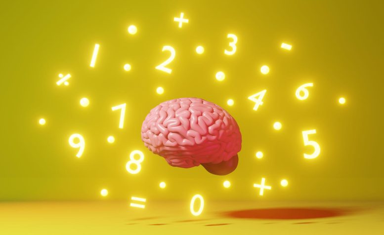 WebFi How Brain Stimulation Can Improve Math Learning