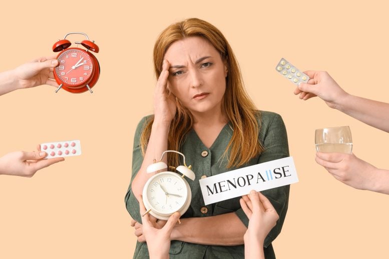 Mature Woman Menopause Illustration