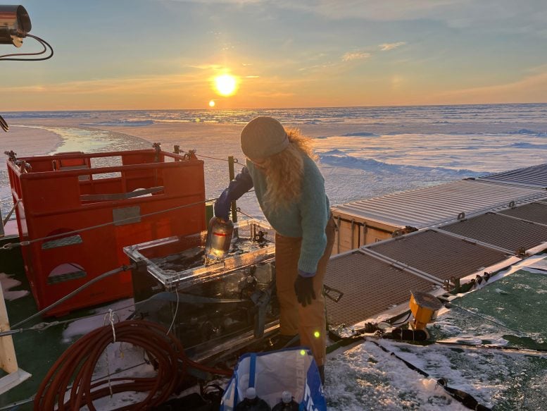 Measurements of Nitrogen Fixation Arctic