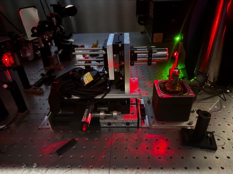 Measuring Chiral Phonons Equipment