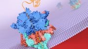 Mechanism That Helps Malaria Parasites Take Over