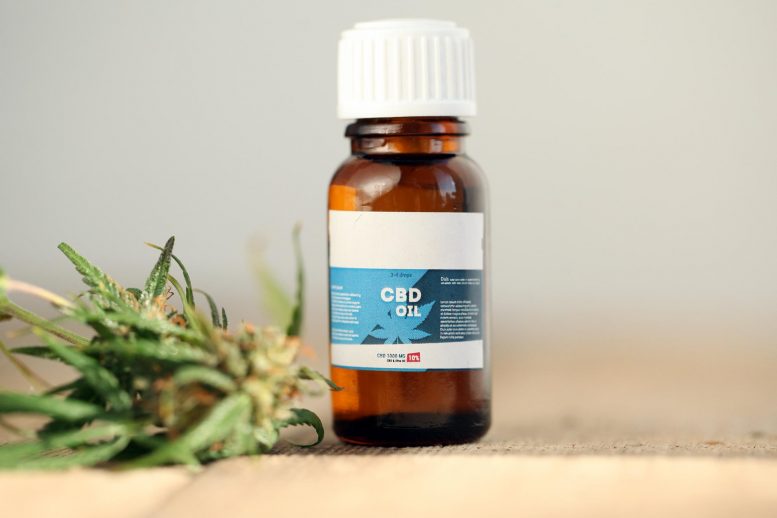 Medical Cannabis CBD Oil