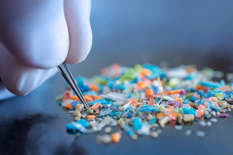 You’re Breathing Plastic: Study Finds 4% of City Air Pollution Is Microplastics