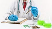 Medical Marijuana Chronic Pain Relief