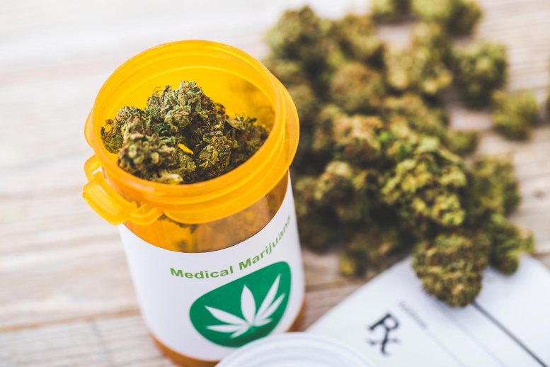Medical Marijuana Prescription Bottle