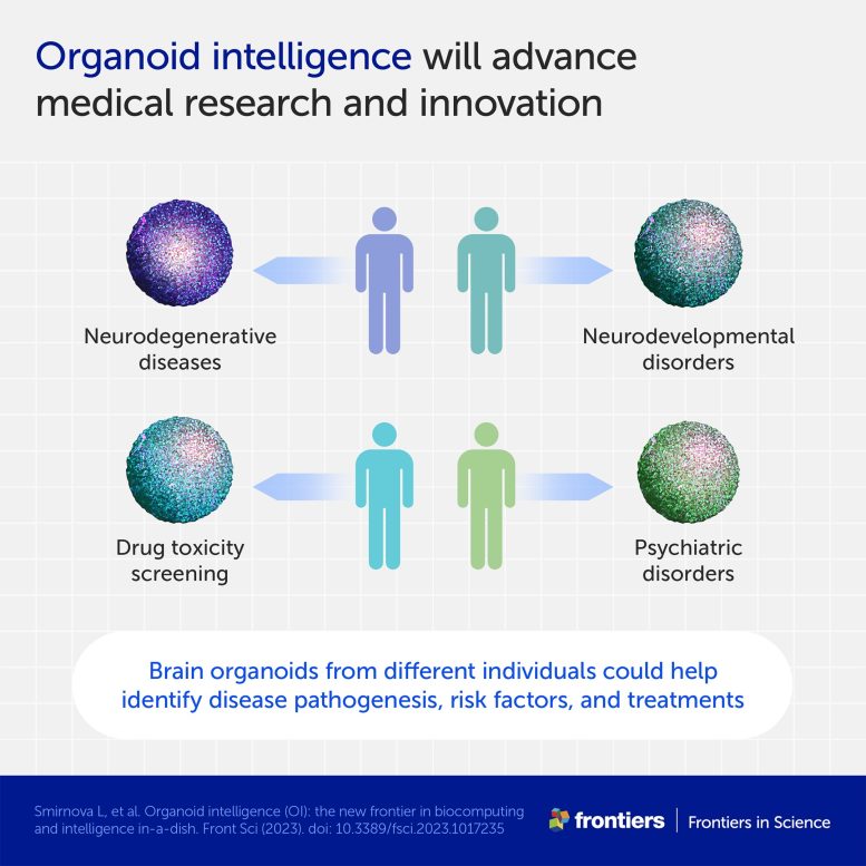 Medical Research Organoid Intelligence Infographic