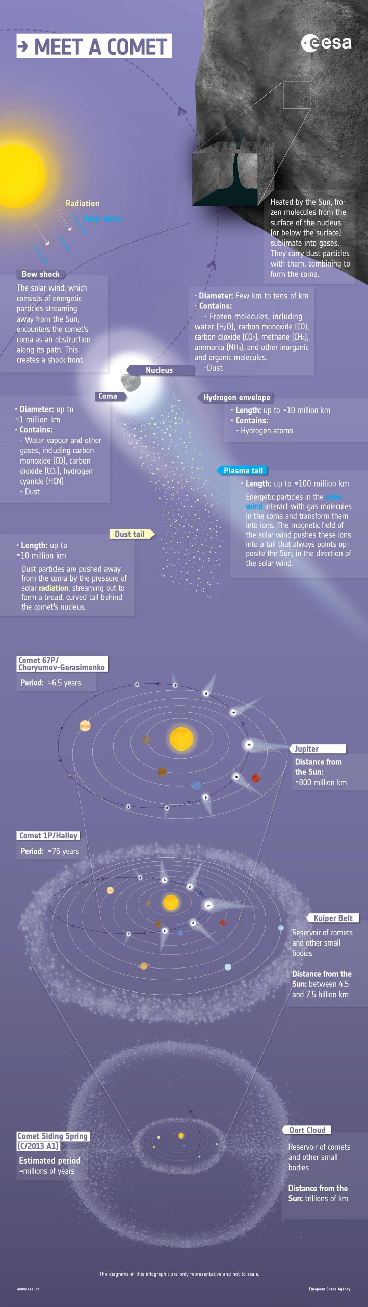 Meet a Comet Anatomy Infographic