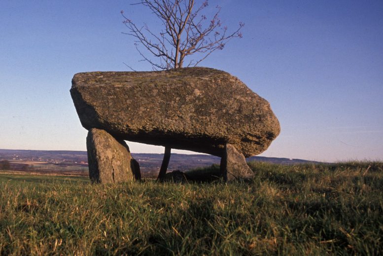 Megalith Tomb Falbygden