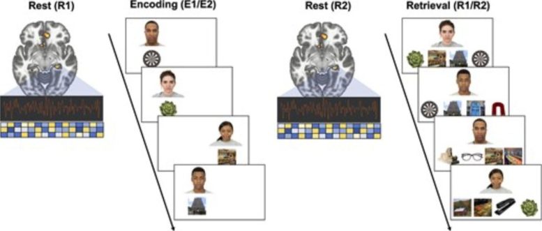 Memory Encoding and Retrieval Experiment Diagram