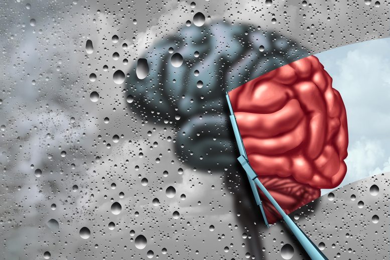 Mental Health Brain Fix Dementia Parkinsons Windshield Wiper