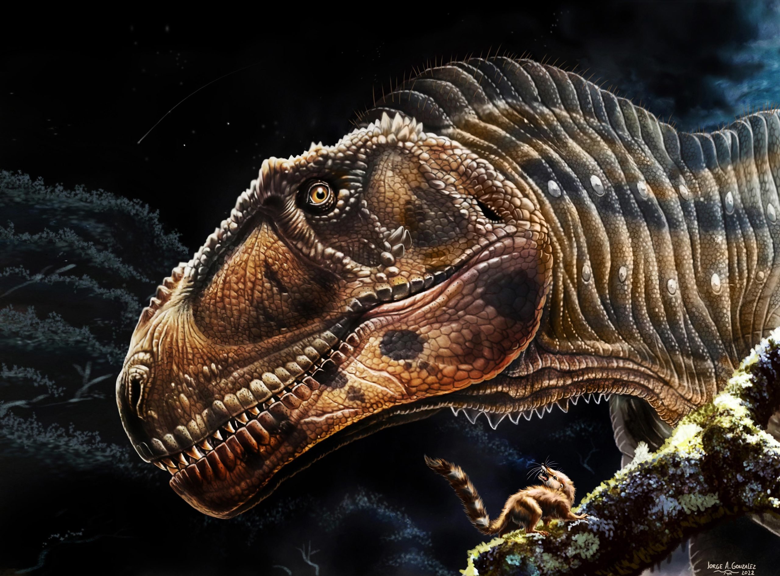 El nuevo descubrimiento del dinosaurio gigante revela por qué muchos carnívoros prehistóricos tenían brazos tan pequeños