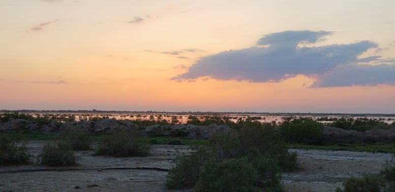 Mesopotamian Marshes