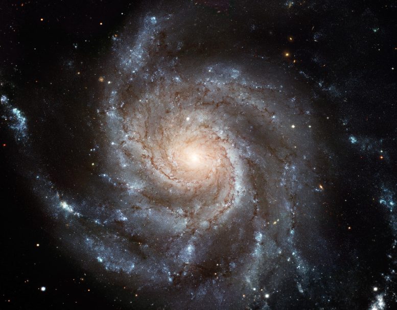 Messier 101 Pinwheel Galaxy Portrait