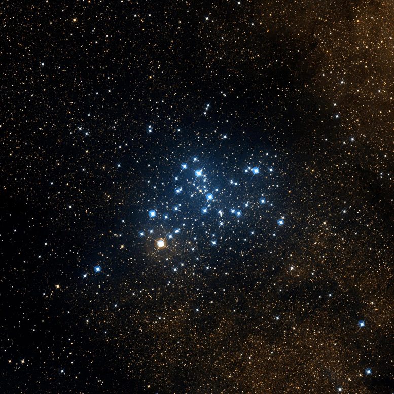 Messier 6 Star Cluster