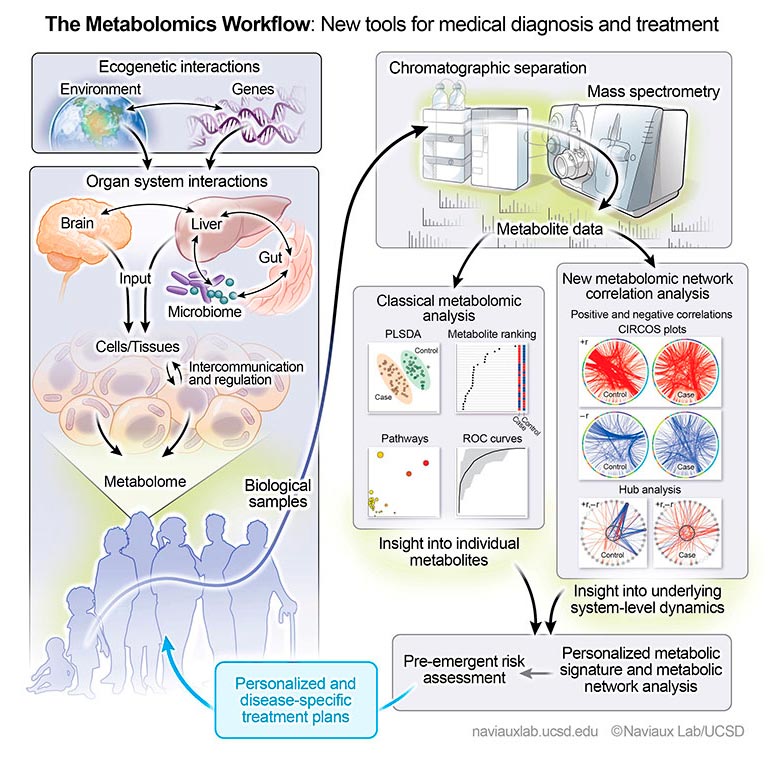 Metabolomics Workflow