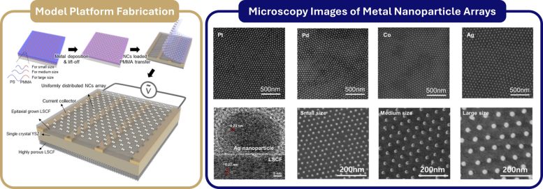 Metal Nanoparticle Array Fabrication and Microscopy