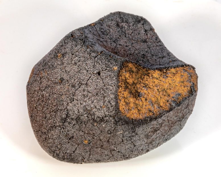 Meteorite Fallen Near Flensburg in 2019