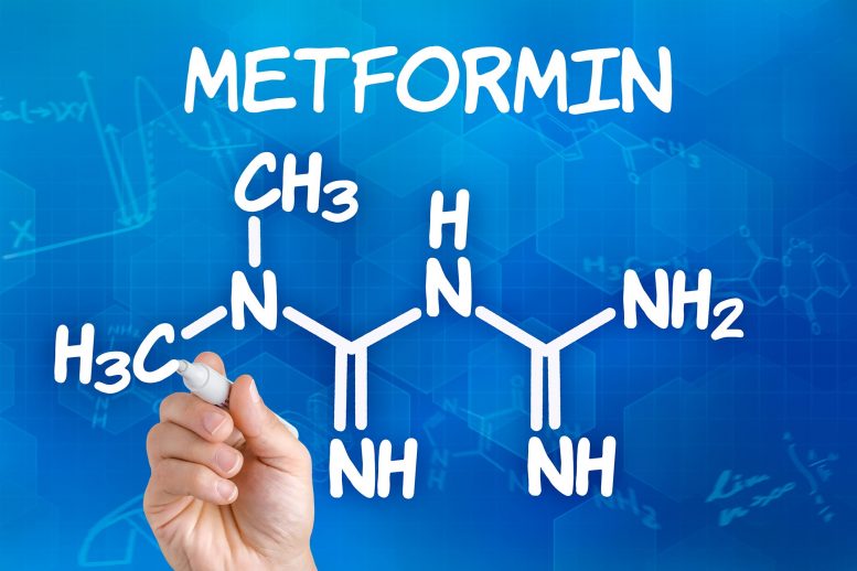 Metformin Chemical Formula